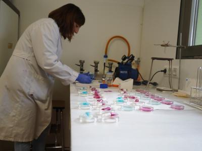 Imagen El laboratorio de Prodestur normaliza su actividad de análisis agrarios y asesoramiento, después de unas semanas de intenso control