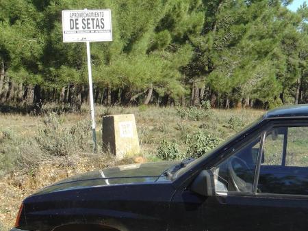 Imagen El lunes comienzan a expedirse los permisos para la recogida de setas