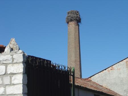 PAISAJE Chimenea