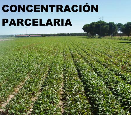 Imagen CONCENTRACIÓN PARCELARIA 2020