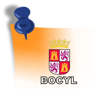 Imagen BOCYL - Ayuda para facilitar retorno de castellano leoneses en el extranjero.